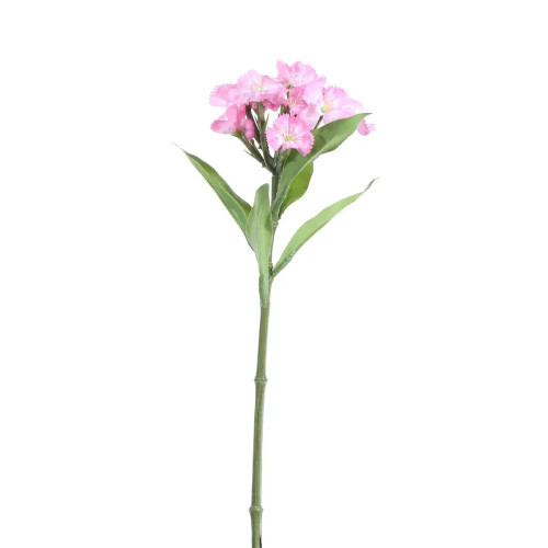 Dianthus Dark Pink 32 cm from Country Baskets