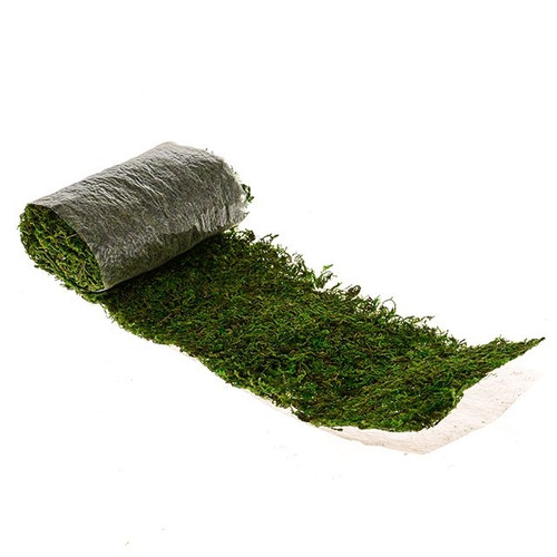 Asia Moss Sheet Green 120 cm