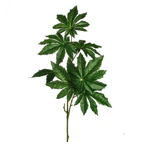 Papaya Leaf Spray x8 Leaves 61 cm