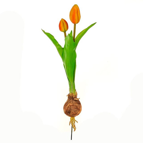 Tulip With Bulb Orange 40 cm