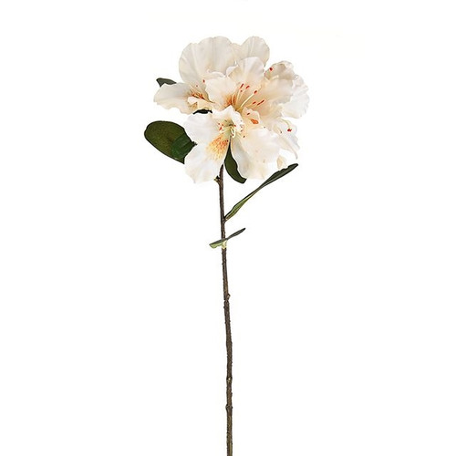 Rhododendron Spray Cream 64 cm from Country Baskets