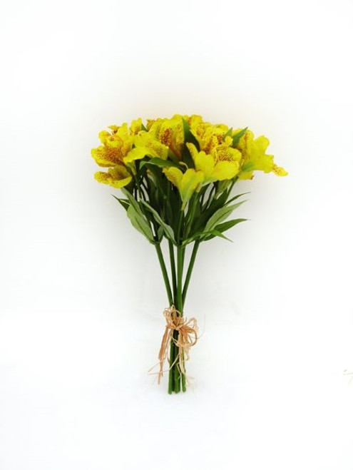 Alstroemeria Bundle Yellow 33 cm