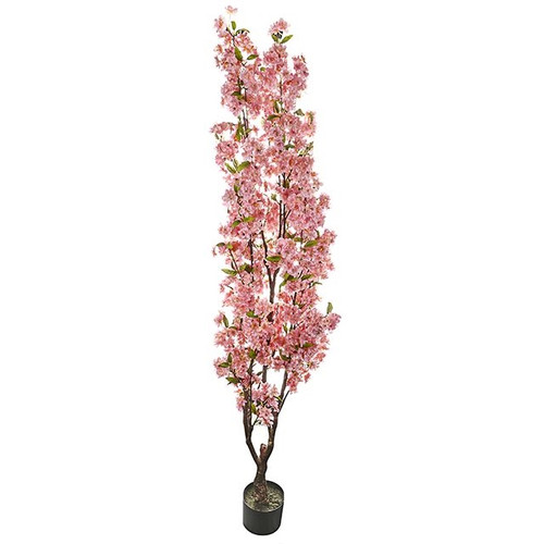 Potted Peach Blossom Tree Pink 1.7 M