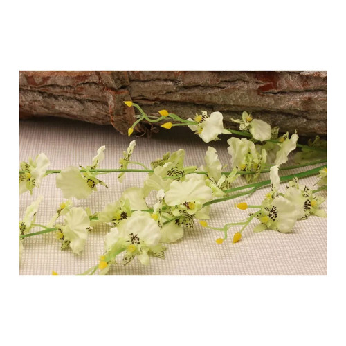 Dancing Orchid Green and Cream