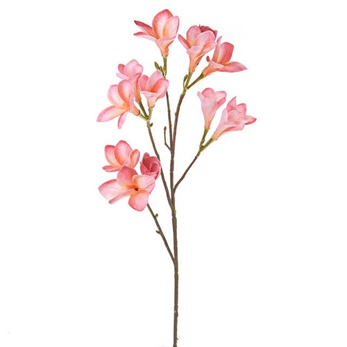 Frangipani Pink 65 cm from Country Baskets