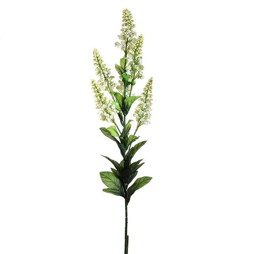 Cottage garden Veronica Cream 89 cm