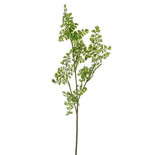 Maidenhair Fern Spray 68 cm