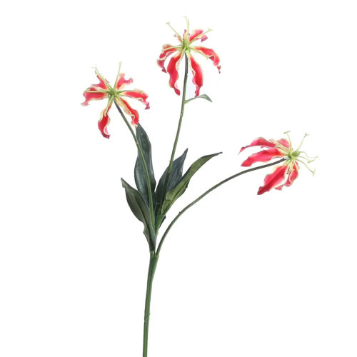 Gloriosa Spray Flowers Orange 50 cm from Country Baskets