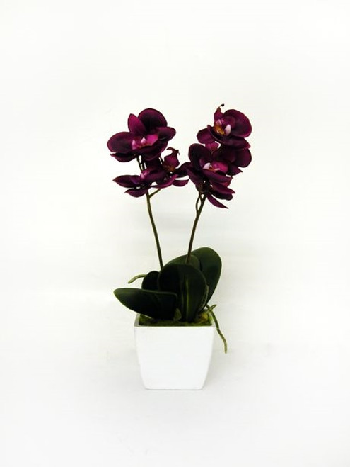 Artificial Potted Mini Orchid Fuschia 33 cm