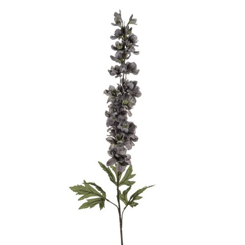 Delphinium Grey 90 cm