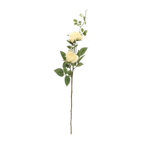 Hamilton Rose Spray Cream 2 Heads from Country Baskets