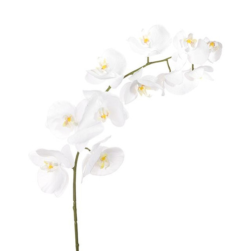 Prestige Orchid White 100 cm