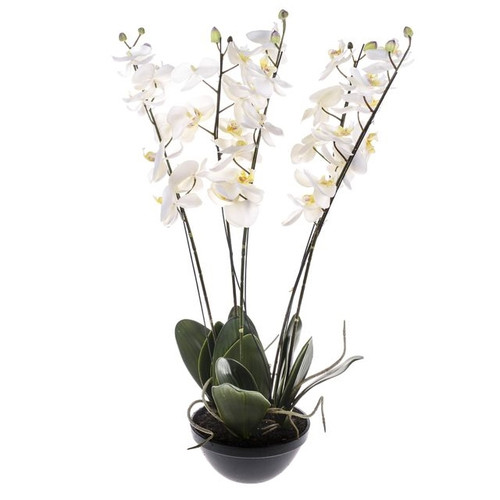 Artificial Phalaenopsis Potted Orchid Cream 82 cm