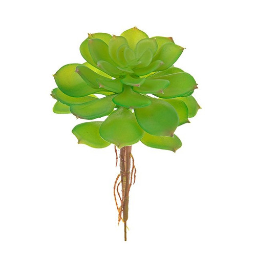Succulent Pick 18cm
