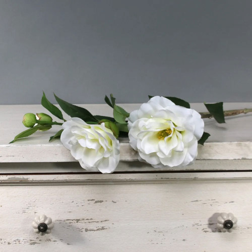 Tintagel Camelia Cream from Country Baskets