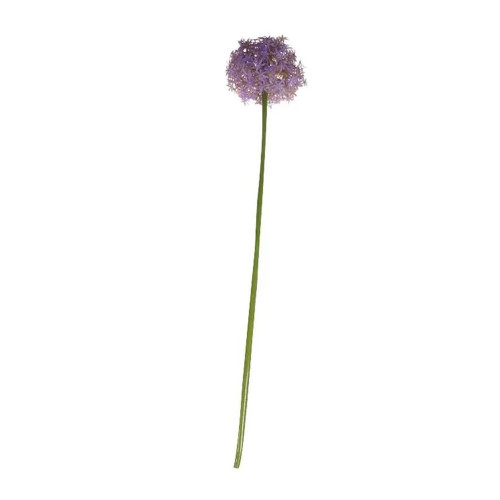 Allium Lavendar Single 76 cm