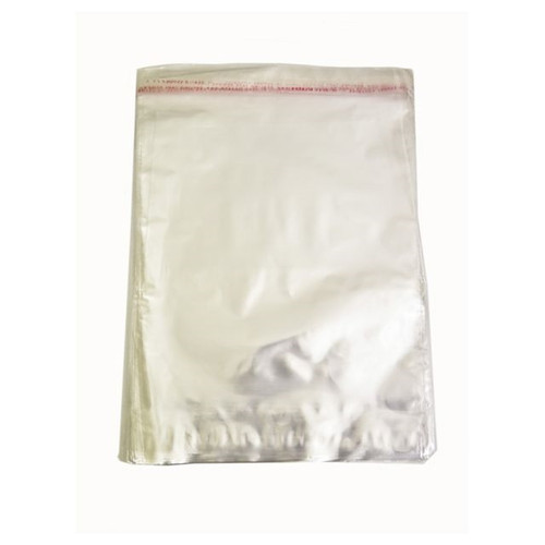 Envelope Ss Clear 203X280mm from Country Baskets