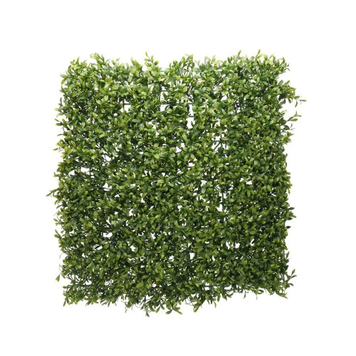 Green Plant Wall