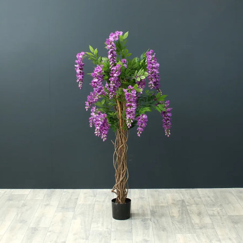 Wisteria Tree Purple - 4ft