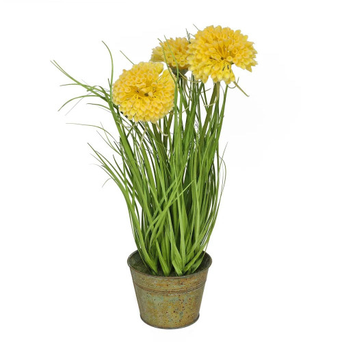 Crysanthemum And Grass Yellow With Pot 46cm from Country Baskets