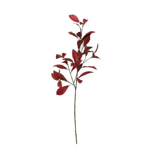 Glamis Croton Spray Red (108Cm)