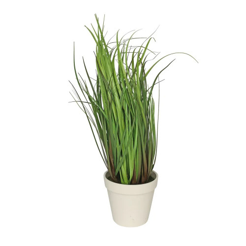 Grass Green With White Pot 46cm from Country Baskets