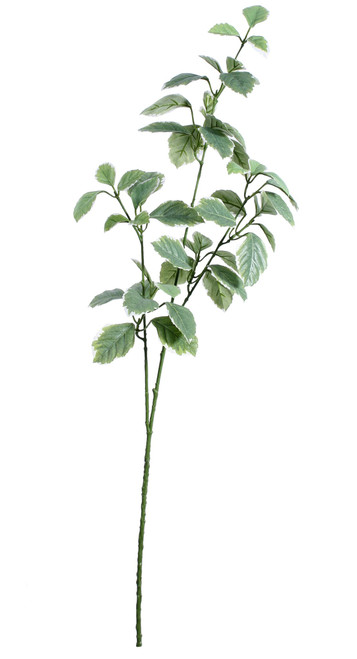 Euonymus Leaves Spray Light Green from Country Baskets