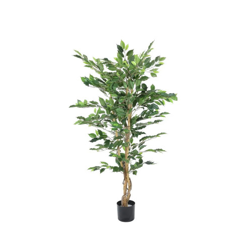 Ficus Tree green X 720 Leaves - 4Ft