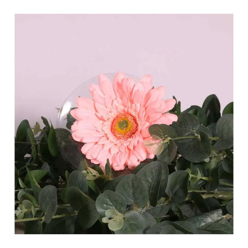 Gerbera Single Peach 62Cm from Country Baskets