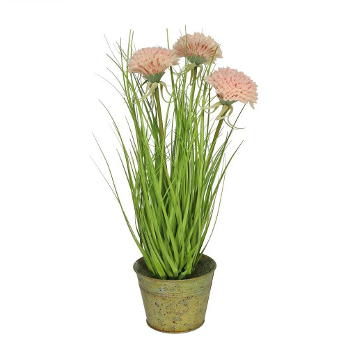 Crysanthemum And Grass Pink With Pot 46cm