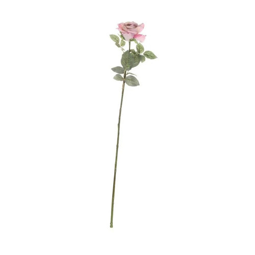 Antique Pink Single Olivia Rose