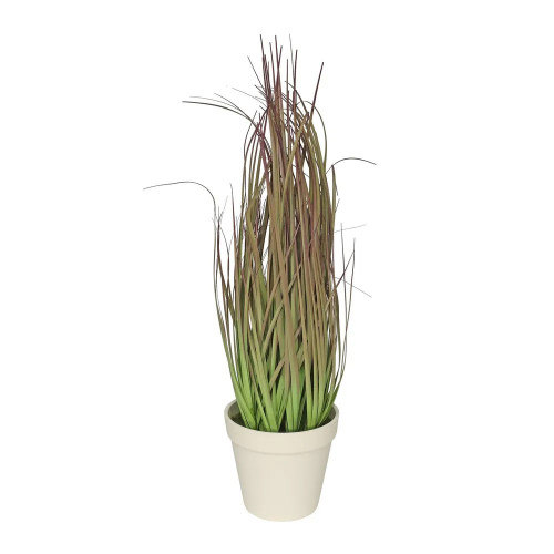 Grass Purple With White Pot 46cm