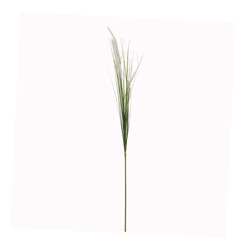 Wild Grass Cat Tail - 94cm