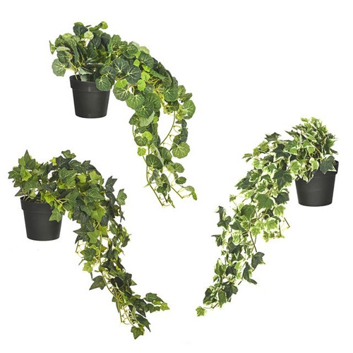 Artificial Potted Ivy Trailing Assorted Leaf Designs