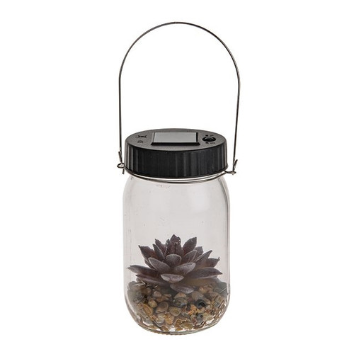 Natural Succulent In Jar LED Light 13.5 cm