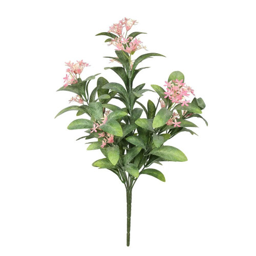 Exterior Everlast Jasmine Plant 40cm