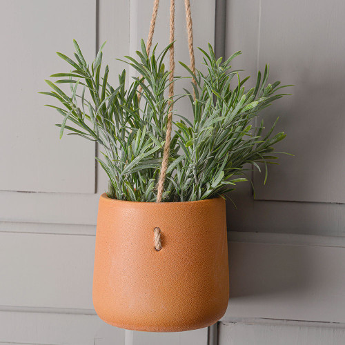 Exterior Everlast Rosemary Plant 38cm