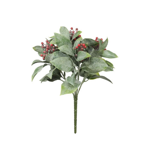 Exterior Everlast Berry Plant 29cm