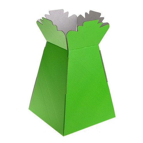 Living Vase Super Lime X30 from Country Baskets