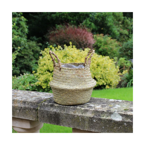 11.5cm Natural Belly Basket from Country Baskets