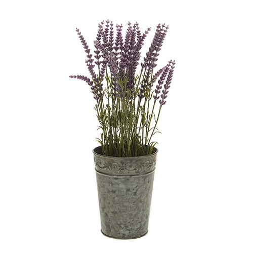 Lavender In Tin Pot 41Cm