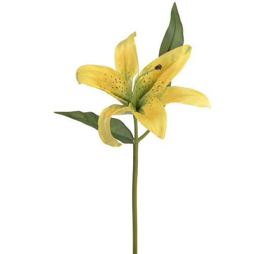 Casablanca Lily Yellow 15"