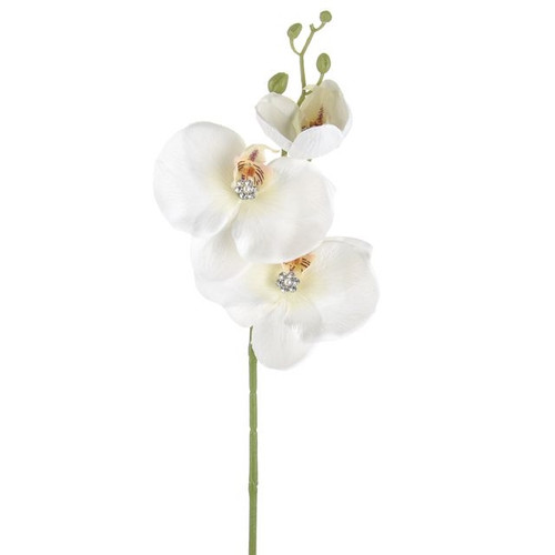 GEM Orchid Ivory 43Cm from Country Baskets