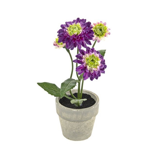 Artificial Potted Pom Pom Purple 19 cm from Country Baskets