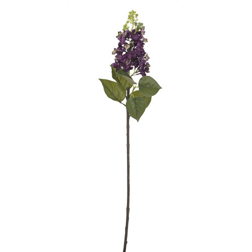 Lilac Purple - 76cm