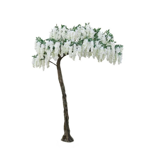 Wisteria Tree Cream 3.2M