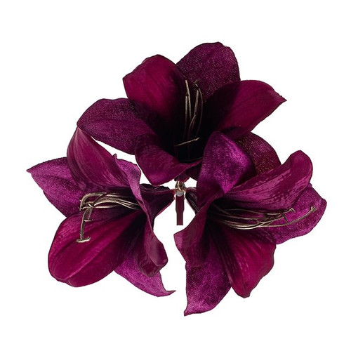 Amaryllia With Clip Purple 20Cm from Country Baskets