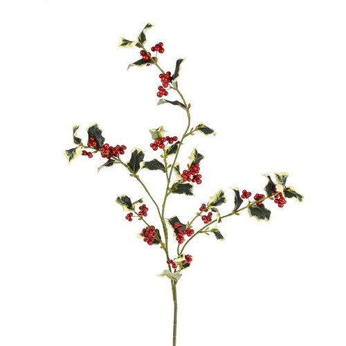 Holly Leaves Varigated Med from Country Baskets
