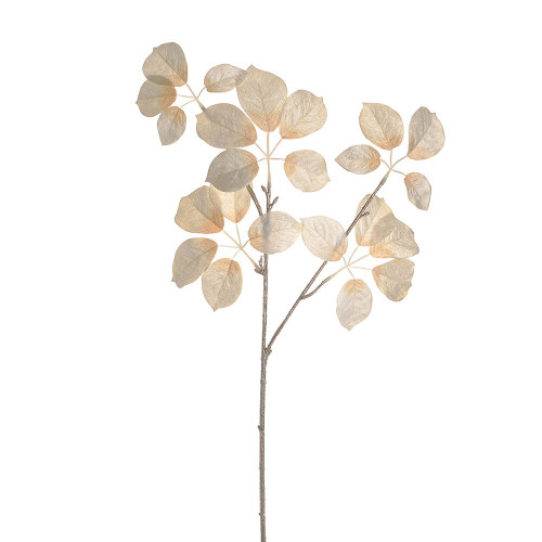 Baby Schefflera Spray Cream 70Cm from Country Baskets
