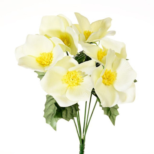 Cream Christmas Rose Bush 6 Heads